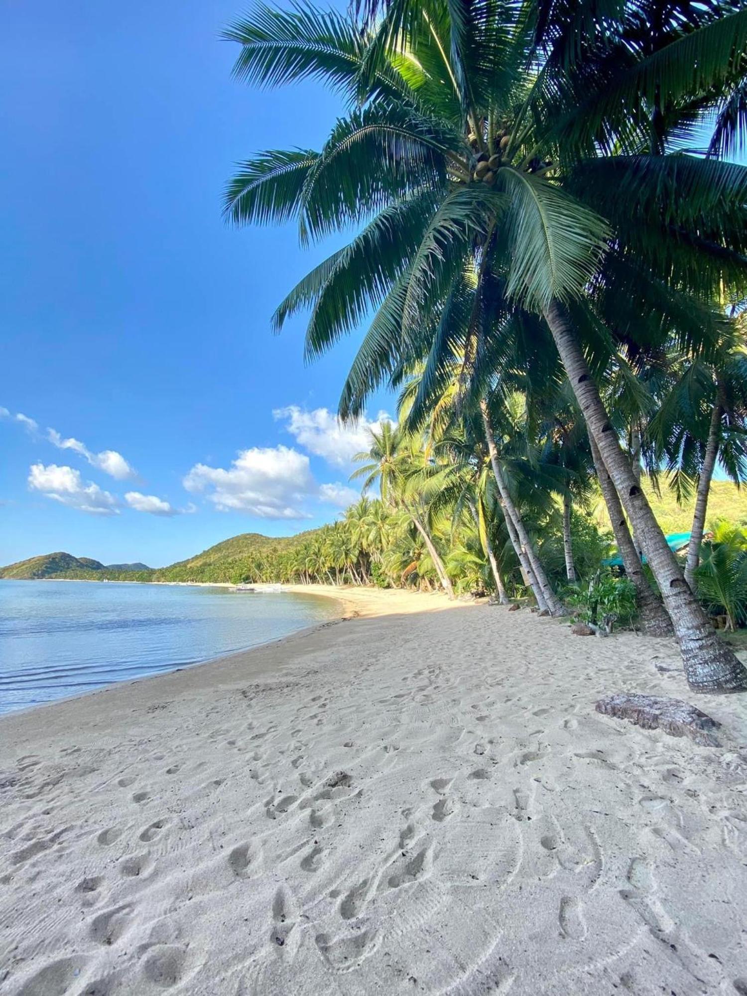 Ocamocam Beach Nature Resort New Busuanga Exterior photo